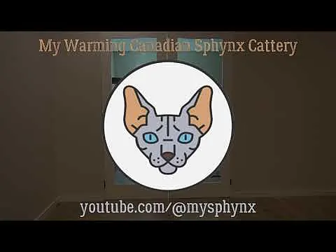 Our Cattery